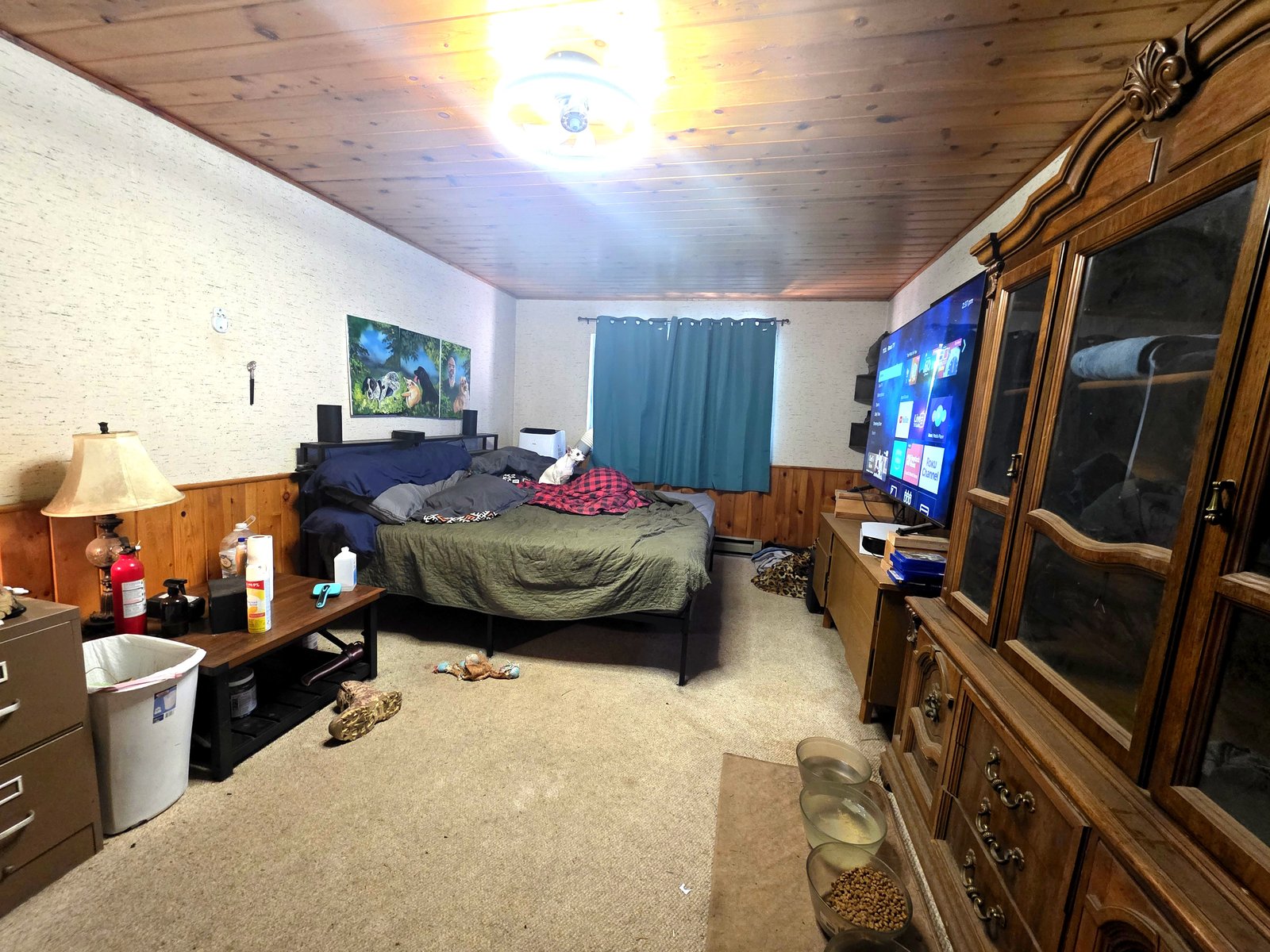 Large bonus room